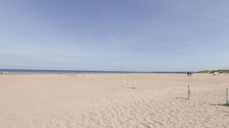 SeaShells - Photo 42