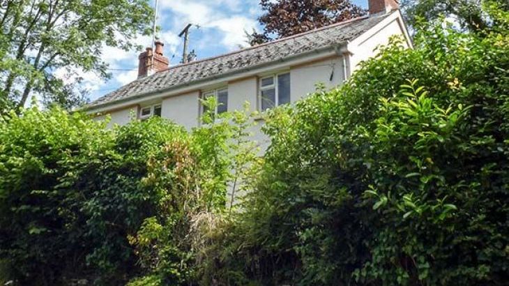 Accommodation Near Newcastle Dog Friendly Accommodation Near Newcastle Dog Friendly