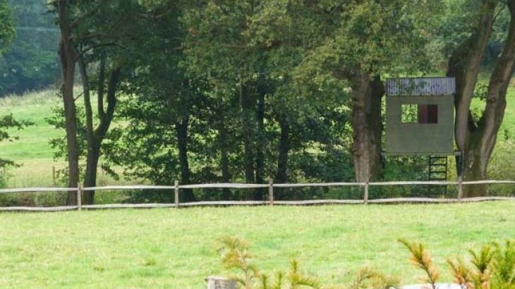 Woodmancote Holiday Lodge Linchmere West Sussex