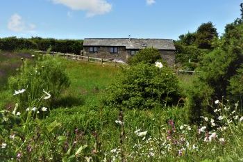 Honeysuckle, dog friendly couples' cottage in South Devon, Devon