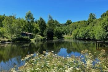 Garth Country House, sleeps  16,  group holiday rental, Powys