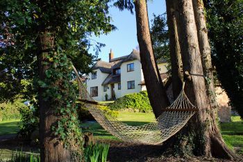 Shells dog friendly holiday cottage, Washford, South West England  - Somerset