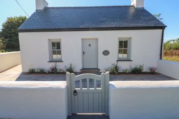 Catamouse, Pembrokeshire,  Wales