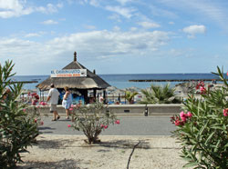 apartments canary islands sleep 4