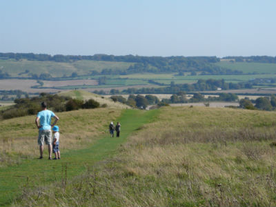 Discover the Chiltern Countryside on a Hertfordshire Holiday