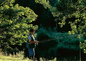 Fishing on holiday