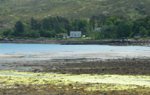 Isle of Rum in the wilds of Scotland