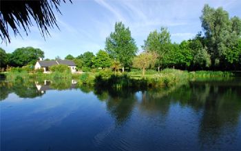 Cottages Near the Waterside