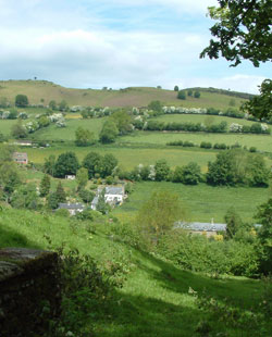 cottages near Offa's Dyke in the Welsh English borders