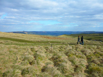 Self catering cottages near Britain's National Parks