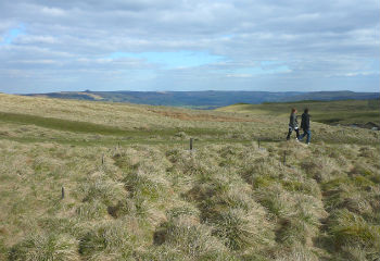 Peak District with stunning scenery for cottage holidays