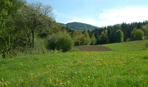 self catering accommodation beskid maly poland