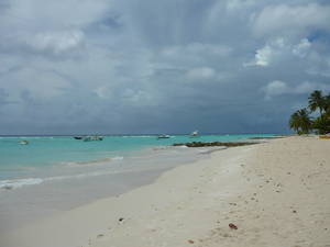Beach on the South Coast of Barbados